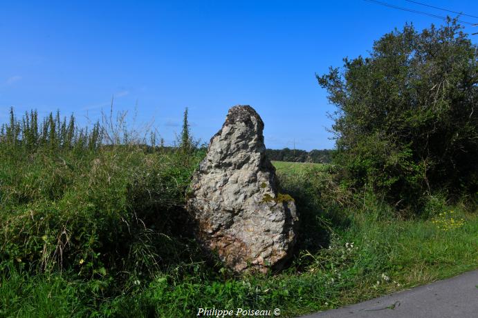 Menhir de "La Pierre Aiguë"