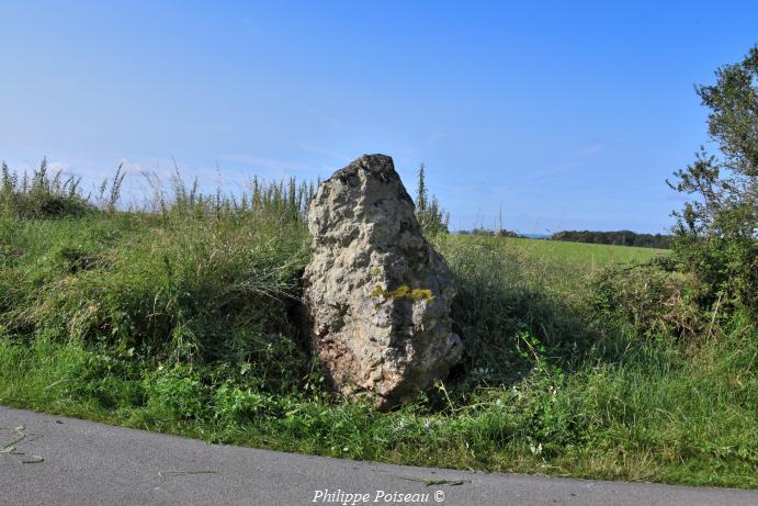 Menhir de "La Pierre Aiguë"