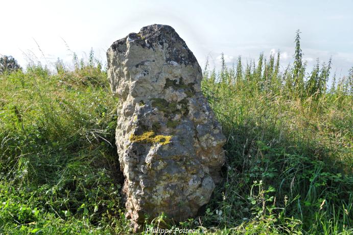 Menhir de "La Pierre Aiguë"