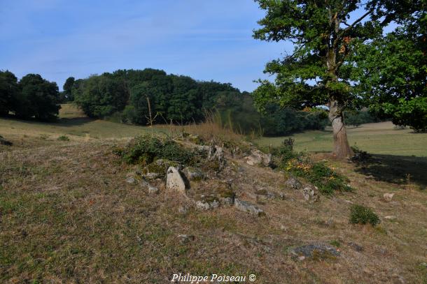 La Pierre du "Bois Jacquot"