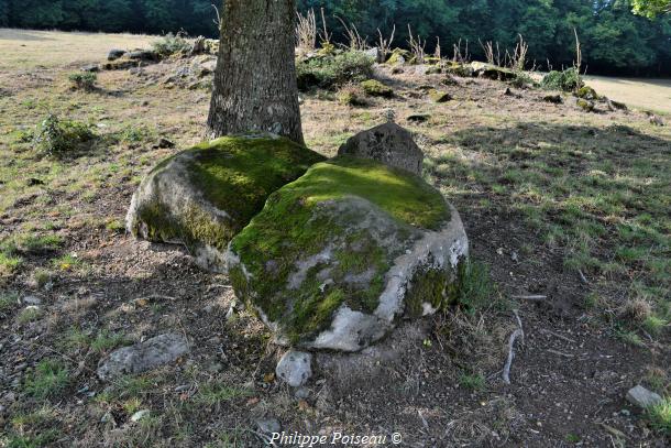 La Pierre du "Bois Jacquot"