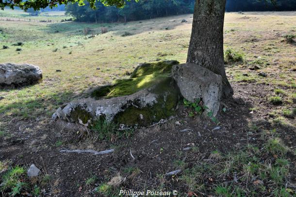 La Pierre du "Bois Jacquot"