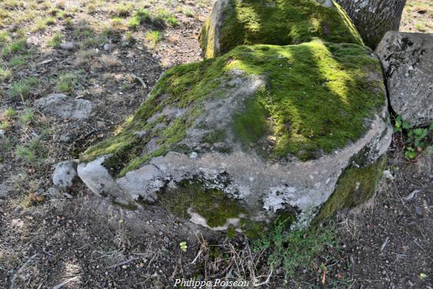 La Pierre du "Bois Jacquot"