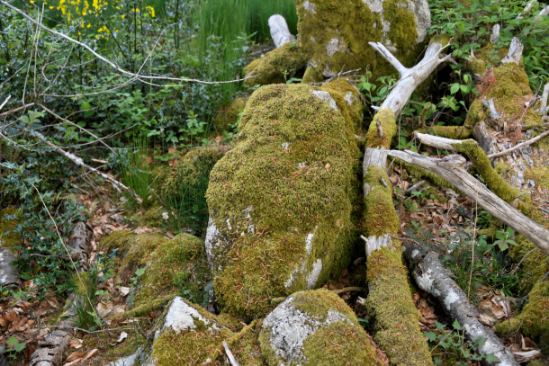 La "Roche des Fées"