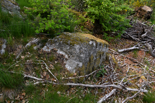 La "Roche des Fées"
