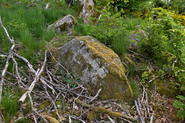 La "Roche des Fées"