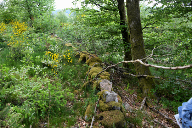 La "Roche des Fées"