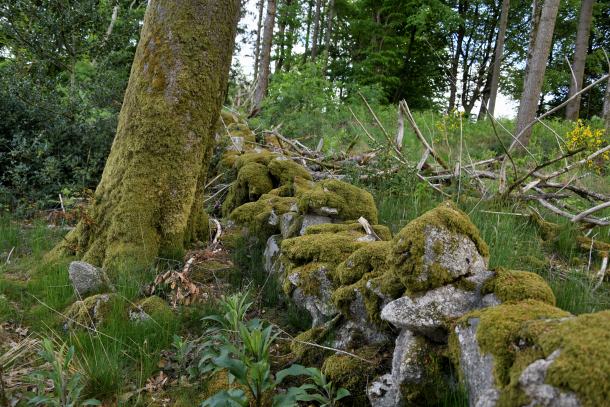 La "Roche des Fées"