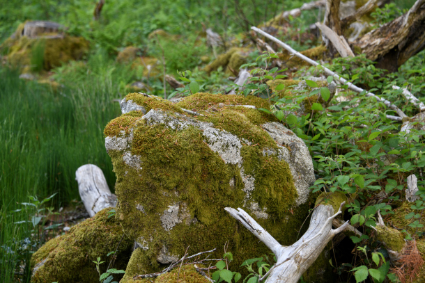 La "Roche des Fées"