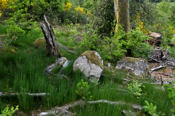 La "Roche des Fées"