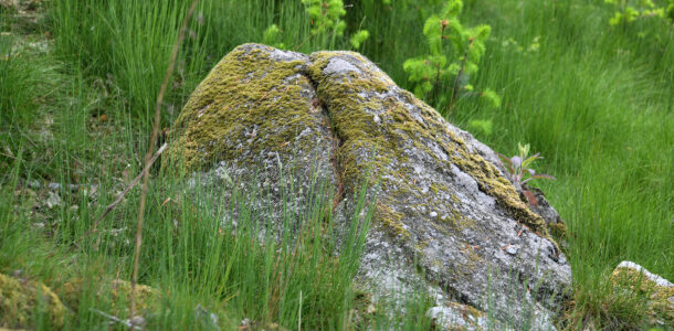 La "Roche des Fées"