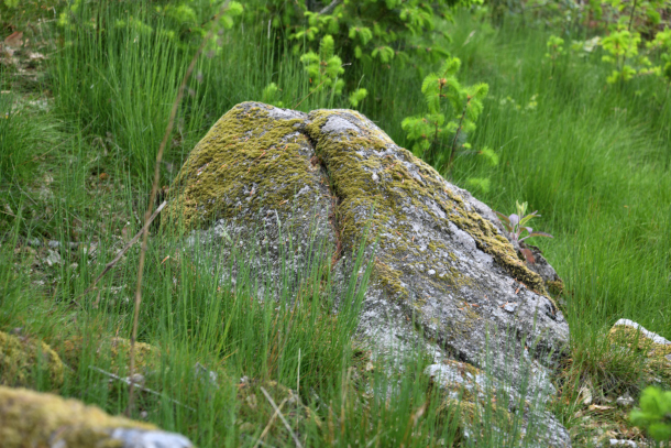 La "Roche des Fées"