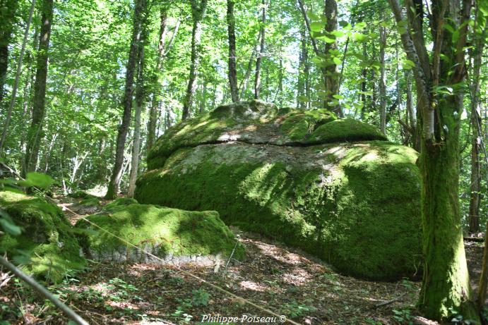 La Roche du Bois "Mousseau" un patrimoine