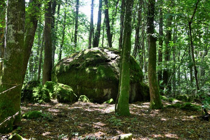 La Roche du Bois "Mousseau"