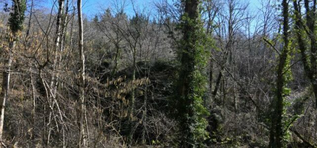 La Roche du Bouc