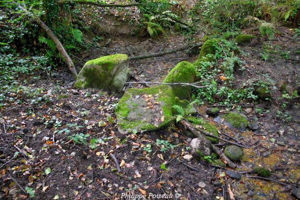 Source de Franvache