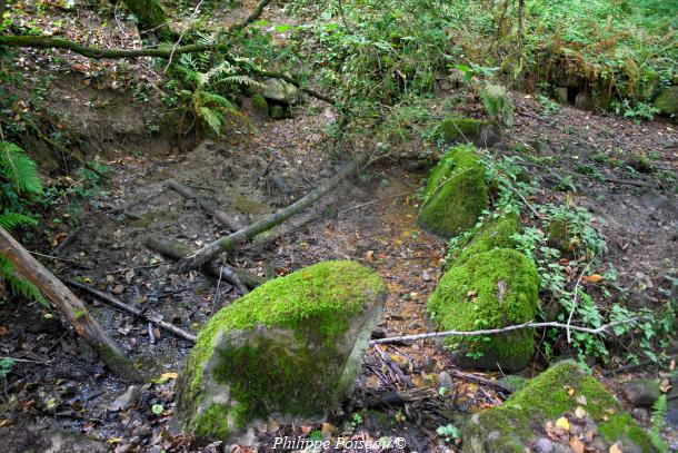 Source de Franvache