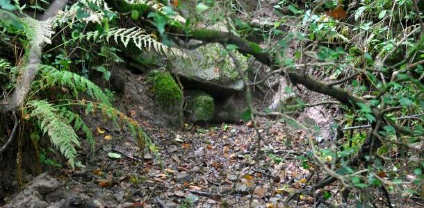 Source de Franvache