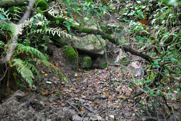 Source de Franvache