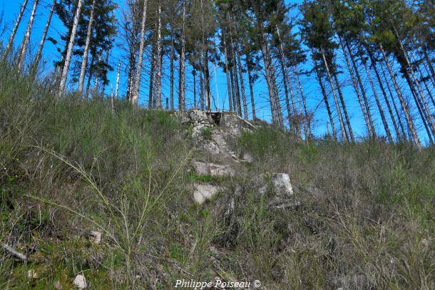 La Vallée de la Cure côté Nièvre