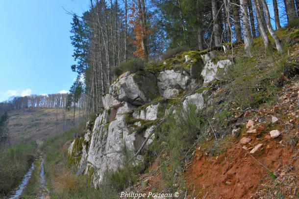 La Vallée de la Cure côté Nièvre