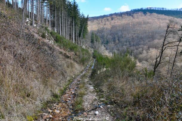 La Vallée de la Cure côté Nièvre
