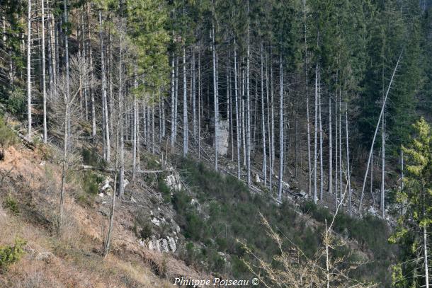 La Vallée de la Cure côté Nièvre