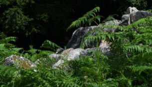 Pierres de "La Grosse Pierre"
