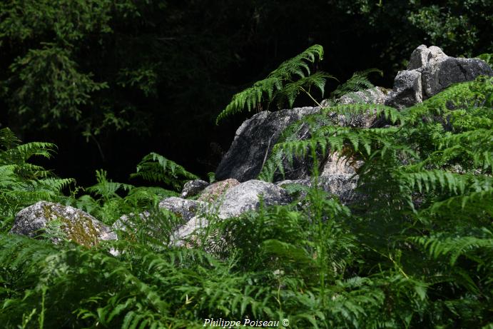 Pierres de "La Grosse Pierre"