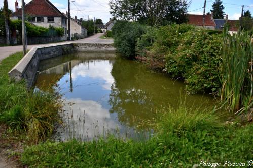 La mare d'Arbourse Nièvre Passion