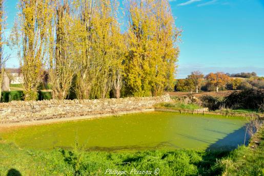 La Mare de rouissage de Cœurs un plan d’eau