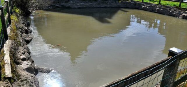 Bassin de rouissage de Certaines