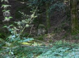 La pierre Aiguë de Saint Agnan