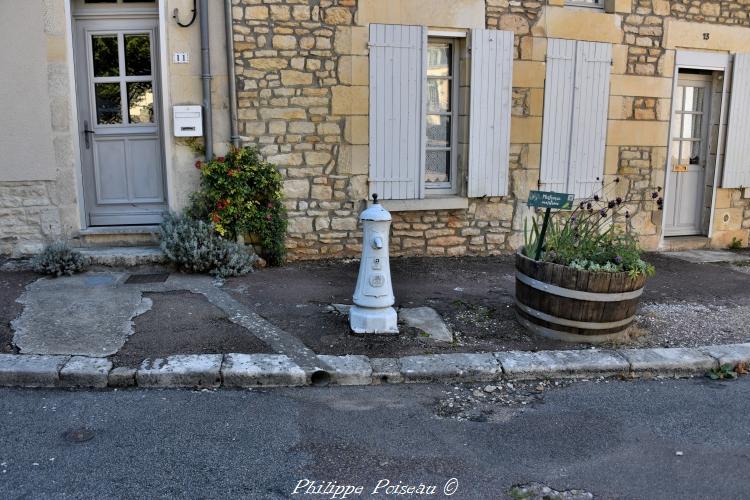 La pompe blanche de Donzy un patrimoine