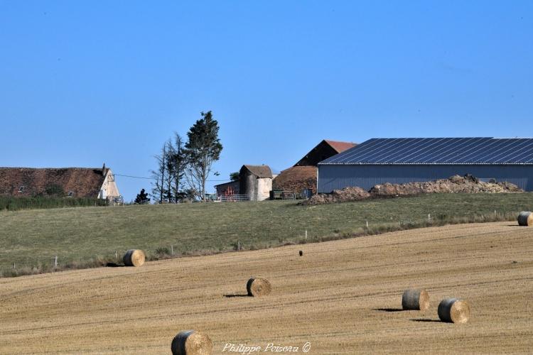 La tour d’Echereau un patrimoine