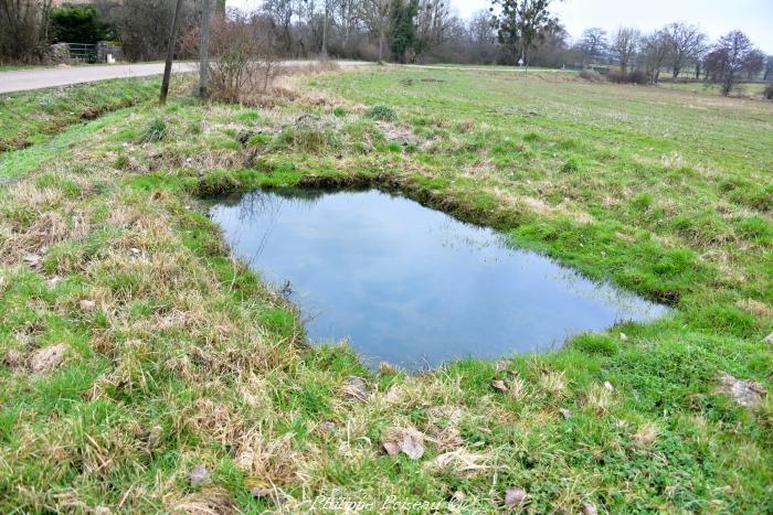 Lavoir de Les Guérigneaux un beau patrimoine