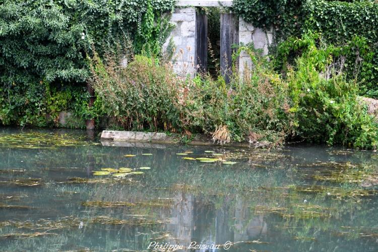 Le petit lavoir du Beuvron