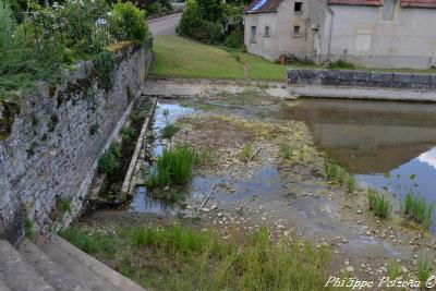 Bassin de Cervenon Nièvre Passion