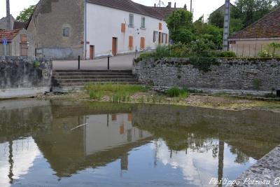 Bassin de Cervenon Nièvre Passion