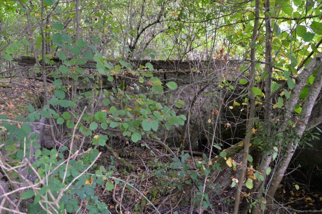 Lavoir Le Mont