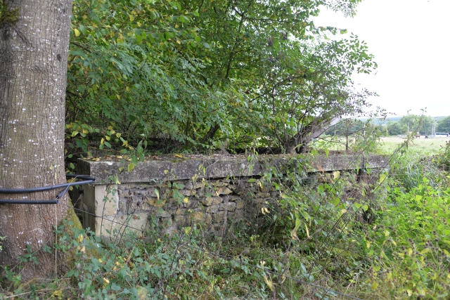 Lavoir Le Mont un patrimoine perdu