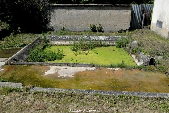 Lavoir de Gimouille un patrimoine vernaculaire