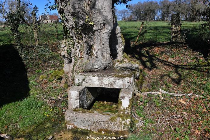 Lavoir de "Les  Caillots"