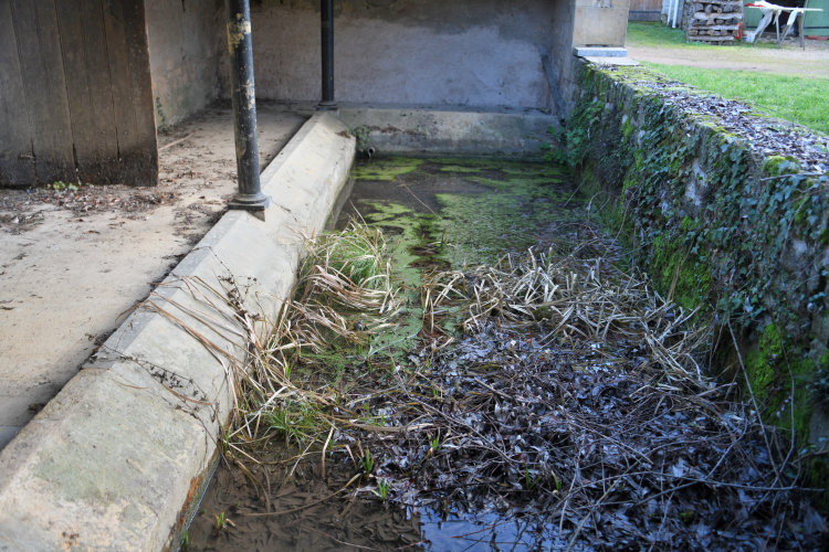 Le lavoir de Martangy