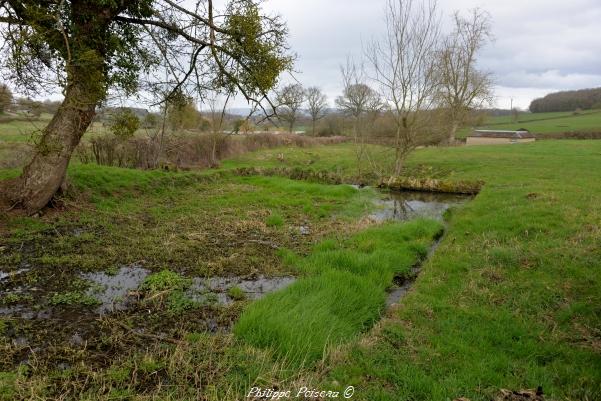 Source et bassin du village de Pazy un beau patrimoine naturel