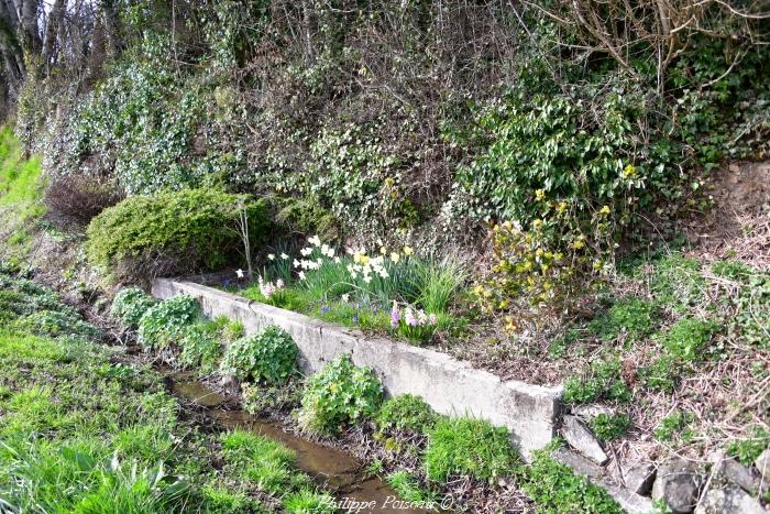 Lavoir de Villurbain