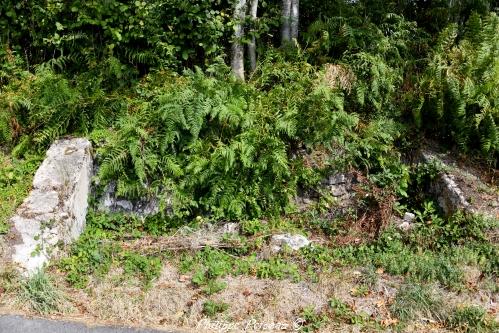 Lavoir du Fou de Verdun un patrimoine vernaculaire