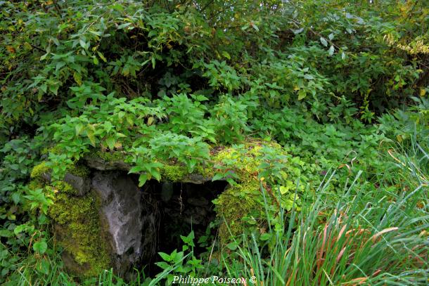 Le Petit lavoir du Grand Ménetreuil un beau patrimoine