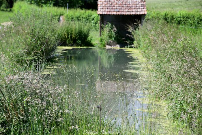 Lavoir privé et sa mare de Sardolles