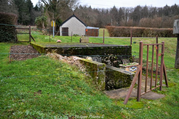 La source et le lavoir de "Les Comtes" 